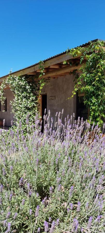 Tikaykilla Lodge & Wines Maipú Exterior foto